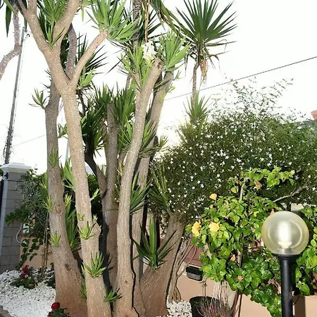 Сasa de vacaciones Casa Di Alice A 250 Metri Dal Mare *